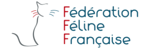 logo-fff